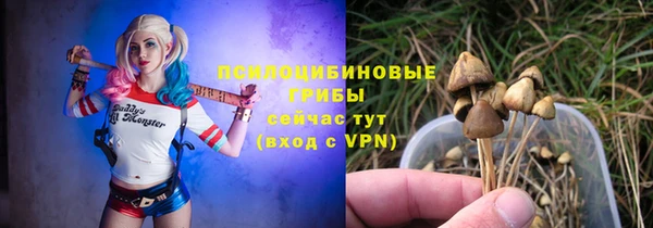 a pvp Нея