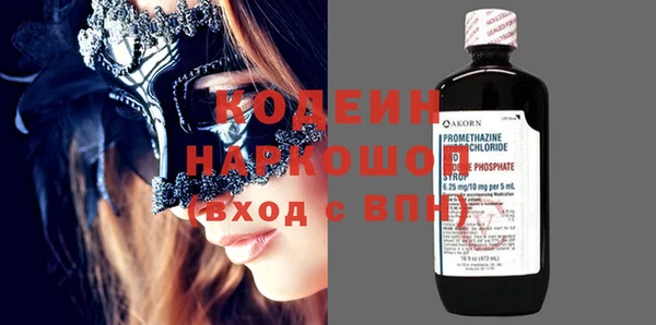 индика Слюдянка