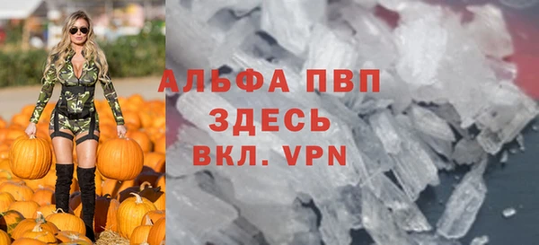 гашик Тутаев