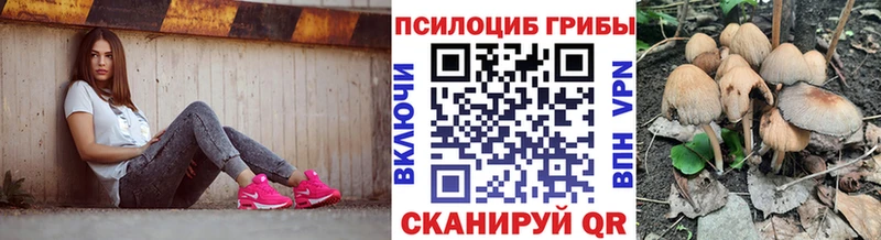 OMG как войти  где можно купить наркотик  Александровск  Псилоцибиновые грибы Magic Shrooms 